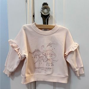 Bencer & Hazelnut dinosaur expert sweatshirt